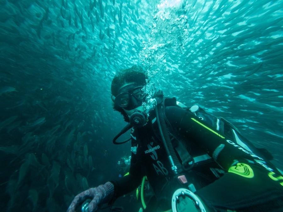 Scuba diving with a school of fish in Ecuador
